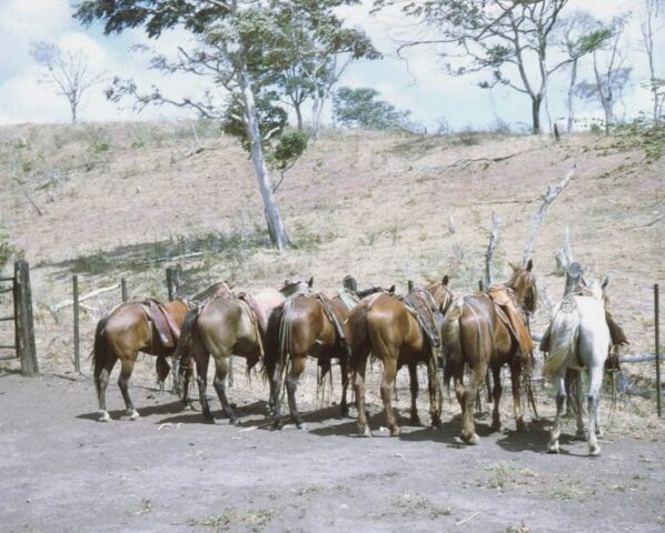 Saddled up and ready to go, c 1974. ©KMC