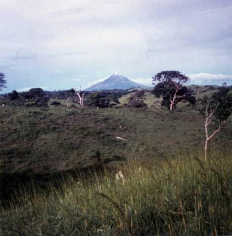 Volcán Concepción on Isla Ometepe in Lake Nicaragua visible from the ranch. Jaragua grass in the foreground, c 1974. ©KMC