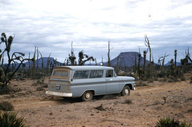 The Consulate General’s carryall is on a rugged dirt road among cacti in the Valle de los Cirios, Baja California, México, 1961. ©KMC