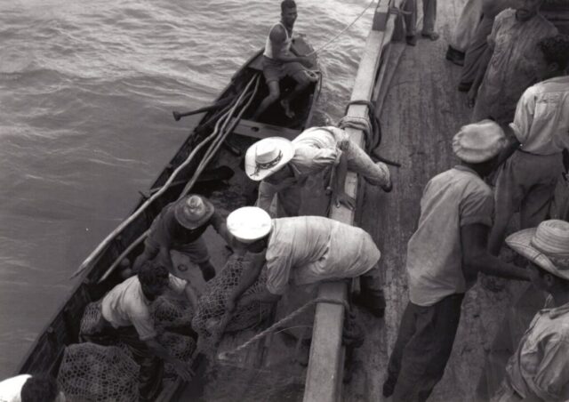 Workers lift large bags of coconuts from a panga onto a larger boat off Brus Lagoon, Honduras, 1947. ©KMC