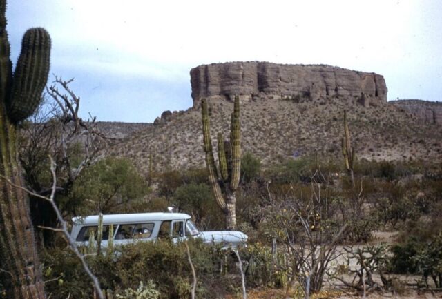The Consulate General’s carryall surrounded by desert cacti and a sheer rock cliffed mesa as they approach Comondú, Baja California Sur, México, 1961. ©KMC