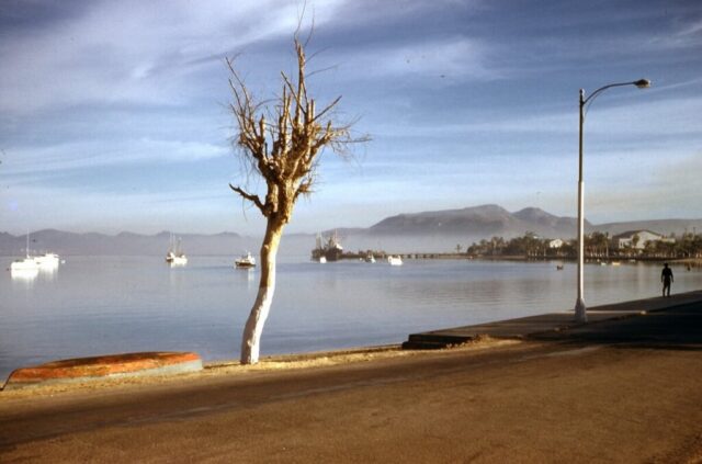 Boats float on a still and glassy harbor covered with fog, La Paz harbor, Baja California Sur, México, 1961. ©KMC