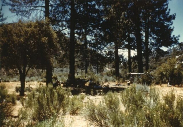 A campsite among pines at Hidden Valley, Agua Hechicera, 1962. ©KMC