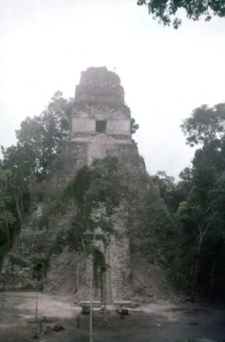 A crumbling Maya temple in the heart of the jungle. Tikal, Petén Department, Guatemala, 1959. ©KMC